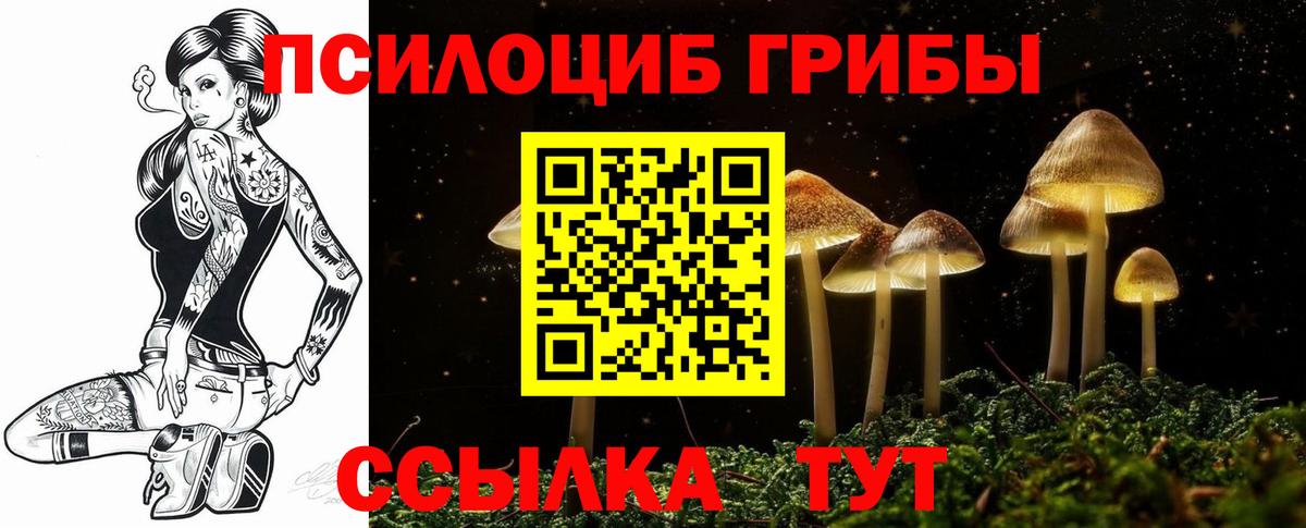 Псилоцибиновые грибы Magic Shrooms Рассказово